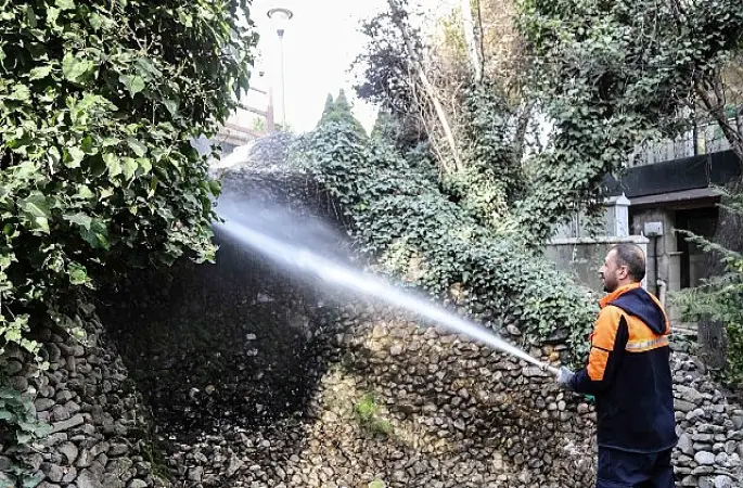 Başkent'in Simgesi Kuğulupark'ta Buharlı Temizlik