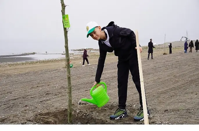 Yeni Yaşam Alanında Çınar Ağaçları Yükselecek